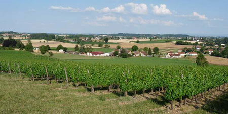 Saint pourcain